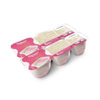 Dulcesol HELADO VASITO NATA FRESA 6X120ML